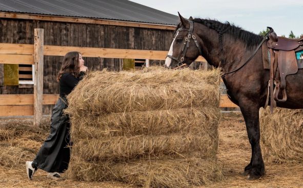 Изображение акции