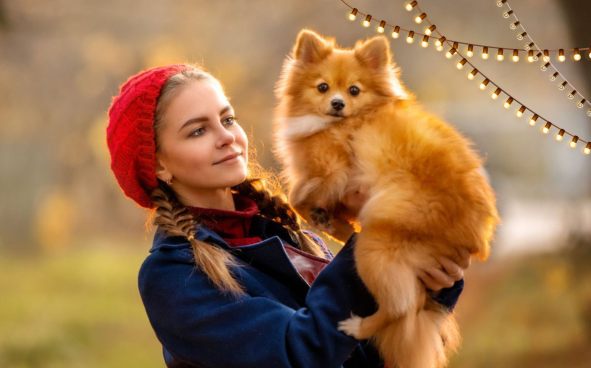 Изображение акции