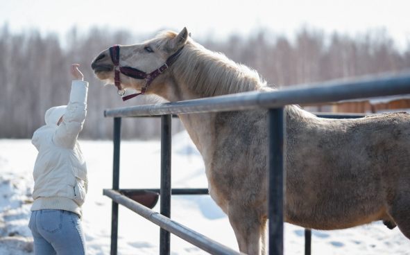 Изображение акции
