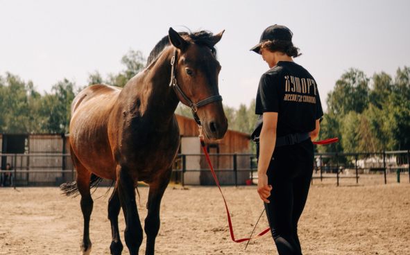 Изображение акции